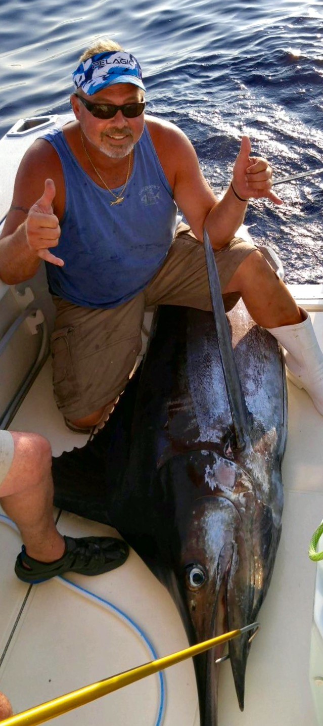 Blue Marlin Fish Mounts & Replicas by Coast-to-Coast Fish Mounts